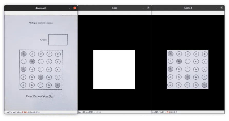 Mask Applied to the Document